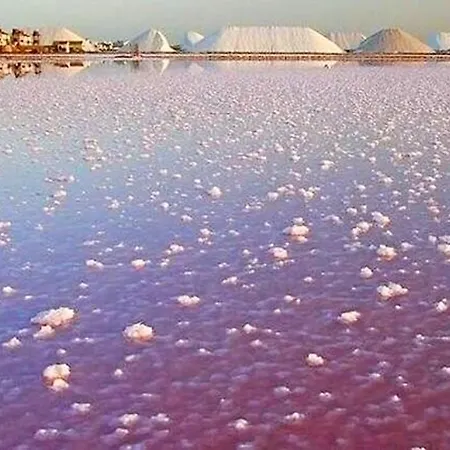 アパート Modern In / 85 Sqm / Near The トレビエハ